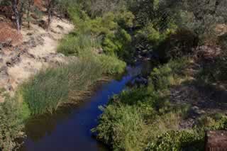 View from Deer Creek Bridge